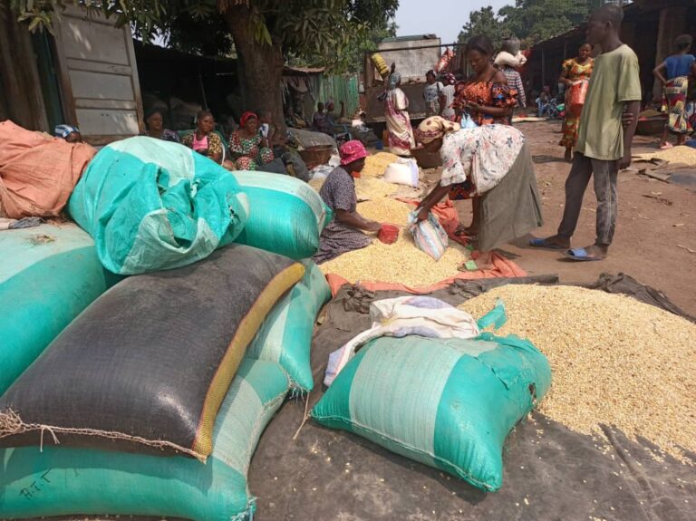 Mbujimayi : hausse de prix de maïs, une mesurette se vend à 6000 FC
